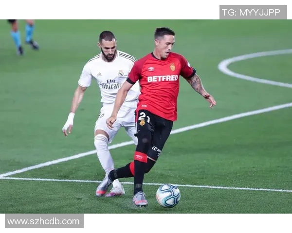 菜万特对阵马洛卡精彩比分揭晓赛季精彩瞬间回顾与分析