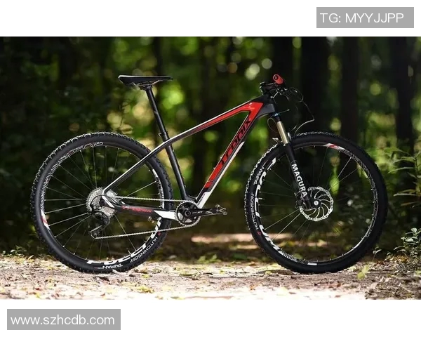 广州滑板队在极限运动世界杯积分榜上以89分稳居第一名MBA