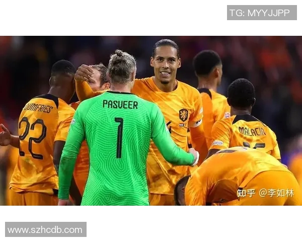 比利时与荷兰精彩对决录像回顾及赛后分析分享