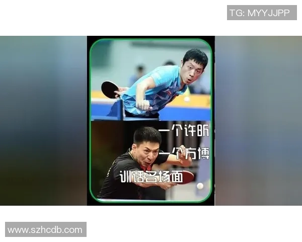 许昕与波兰斯基的巅峰对决乒乓球赛场上的精彩瞬间与战术较量