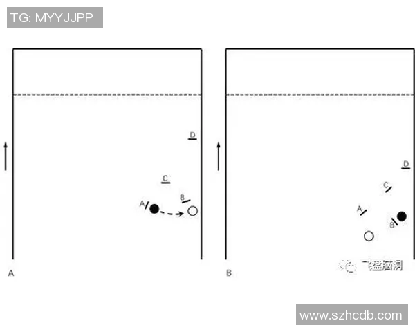 重庆飞盘队区域防守战术深度解析与实战应用探讨