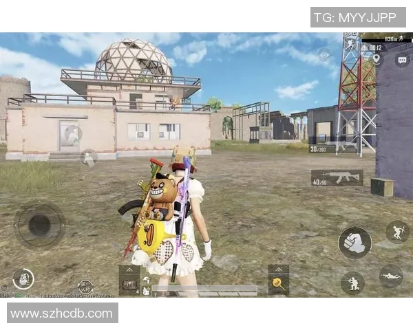 与赵丽畅谈和平精英的成长历程与未来展望