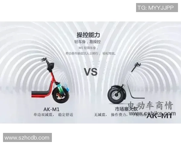 滑板战术解析：武汉滑板队的创新运营模式与发展策略探讨