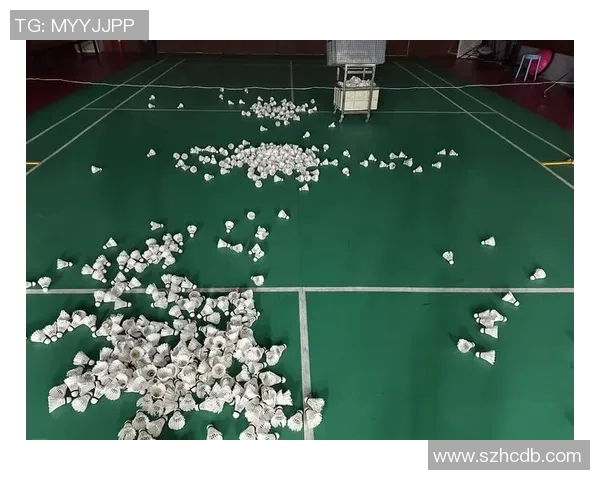 羽毛球新手必看：从零开始的比赛经验与技巧全攻略