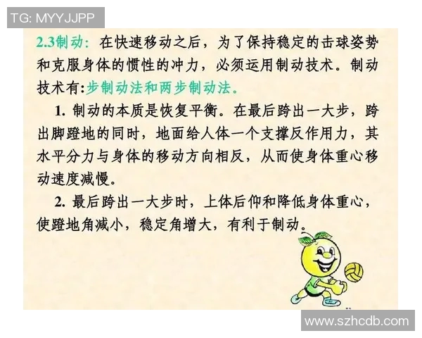上海排球队技术探讨：提升战术配合与球员素质的关键因素分析